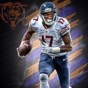 Bears will use their Franchise Tag on wide receiver Alshon Jeffery