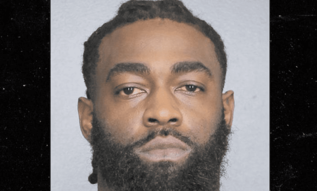 Reshad Jones Dolphins arrested
