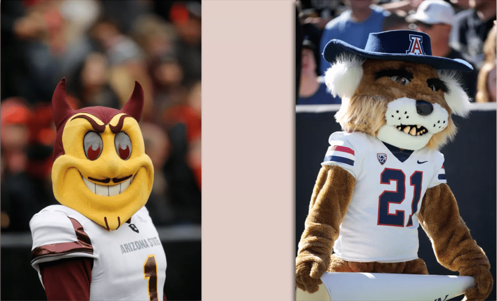 Arizona State and Arizona got chippy, Even their Mascots got into a fight in the middle of the game